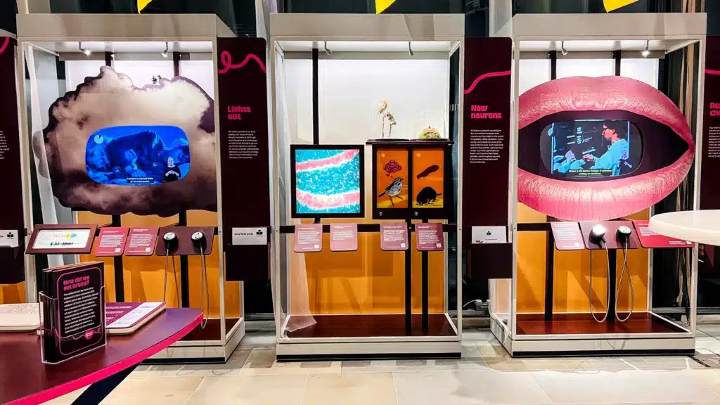 Displays at the Francis Crick Museum