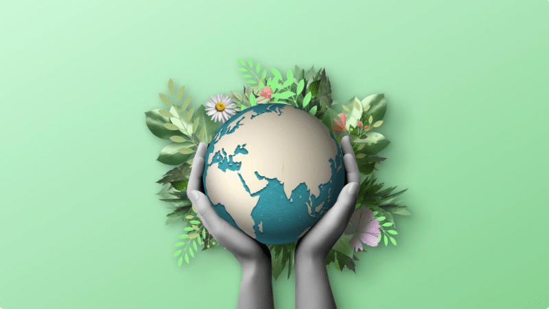 Two hands hold a green and fertile world